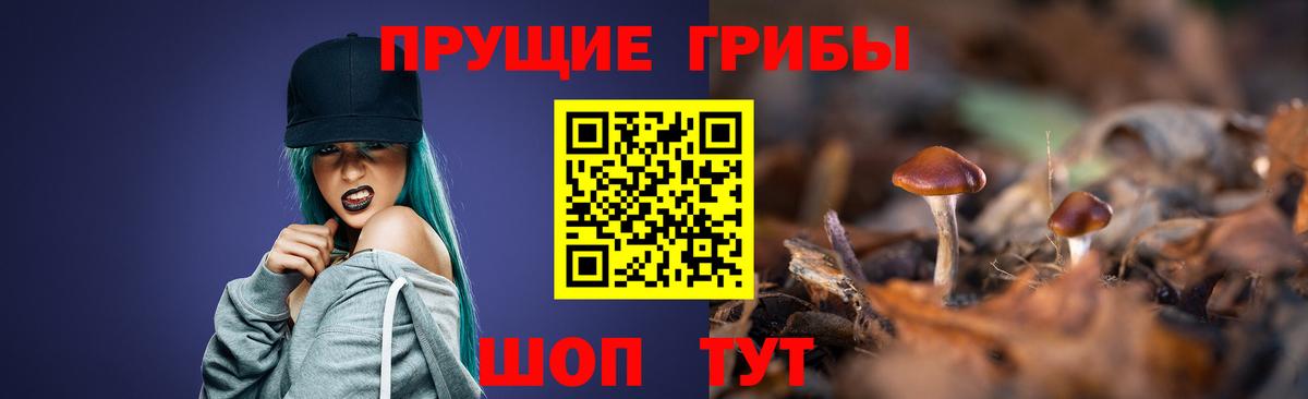 Псилоцибиновые грибы MAGIC MUSHROOMS  закладки  Вход с VPN  Нижний Тагил  Псилоцибиновые грибы Cubensis 